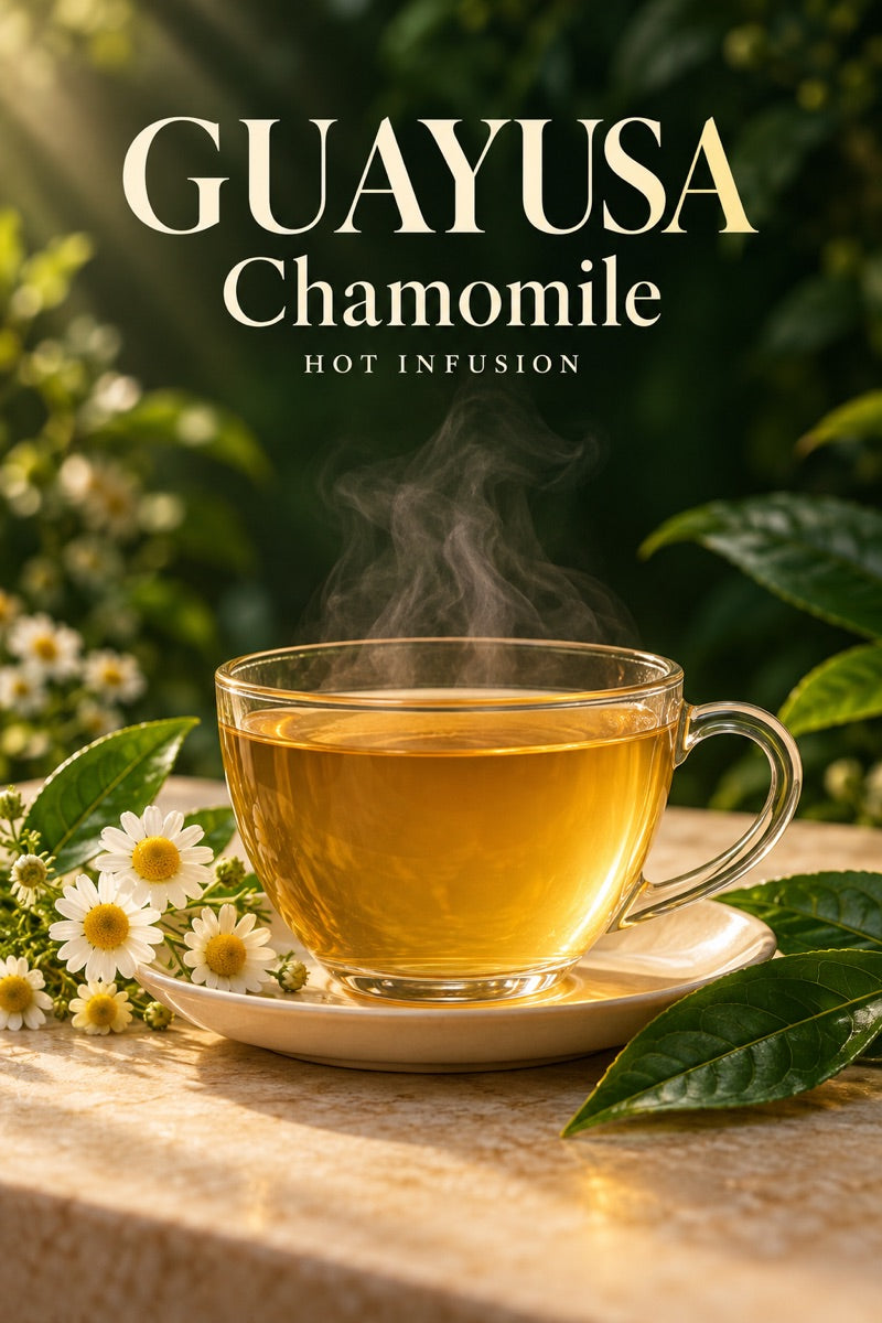Cup of hot chamomile guayusa tea with fresh ingredients and guayusa leaves