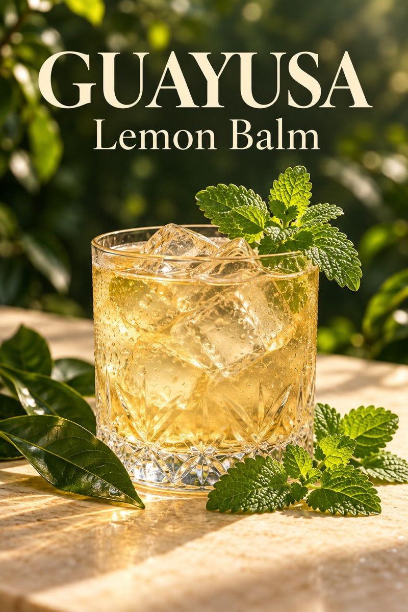 Glass of iced lemon balm guayusa with fresh ingredients and guayusa leaves