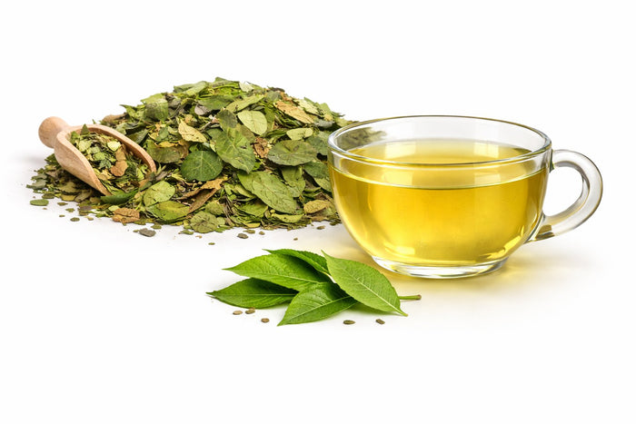 A cup of brewed Golden guayusa tea with loose leaves and tea bags
