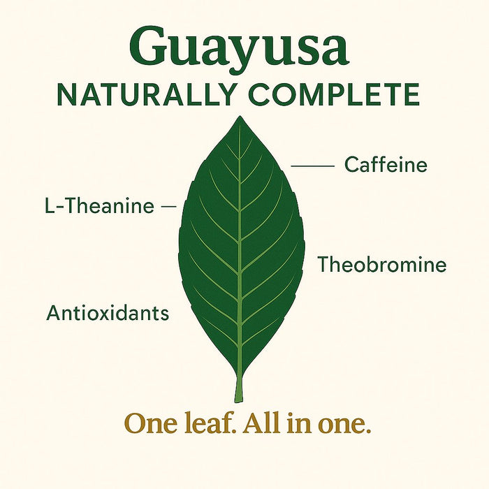 Guayusa leaf: naturally contains caffeine, L-theanine, theobromine and antioxidants