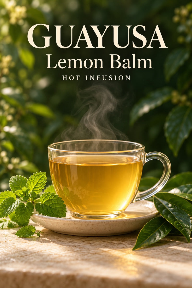 Cup of hot lemon balm guayusa tea with fresh ingredients and guayusa leaves