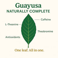 Green Guayusa Loose Leaf 2 Pound (32oz)